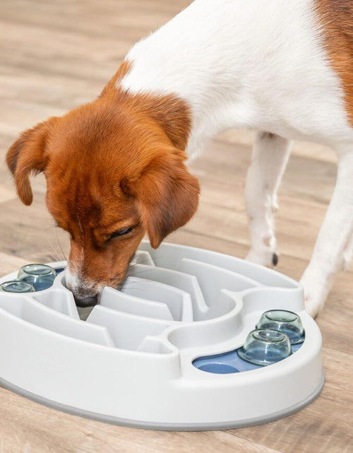 Load image into Gallery viewer, Dog Activity | Pet Strategy Games | Interactive Dog Puzzles | Great for Mental Stimulation
