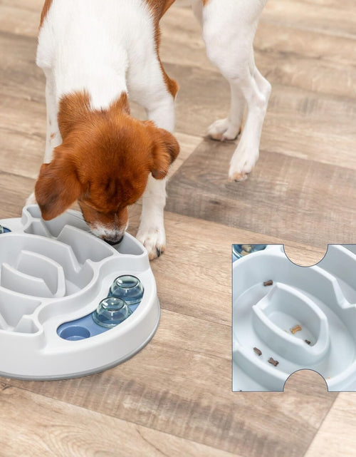 Load image into Gallery viewer, Dog Activity | Pet Strategy Games | Interactive Dog Puzzles | Great for Mental Stimulation
