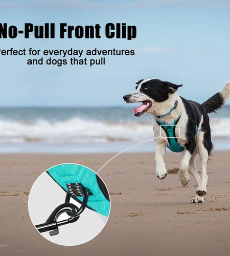 No Pull Dog Harness, Reflective Comfortable Vest Harness with Front & Back 2 Leash Attachments and Easy Control Handle Adjustable Soft Padded Pet Vest for Small Medium Large Dogs (Mint Blue,M)