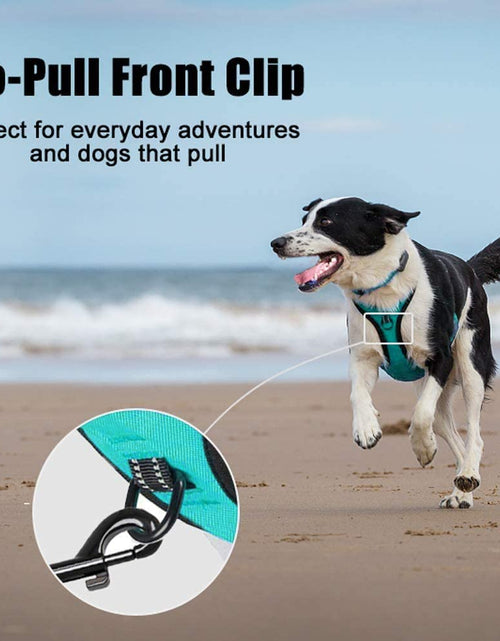 Load image into Gallery viewer, No Pull Dog Harness, Reflective Comfortable Vest Harness with Front &amp; Back 2 Leash Attachments and Easy Control Handle Adjustable Soft Padded Pet Vest for Small Medium Large Dogs (Mint Blue,M)
