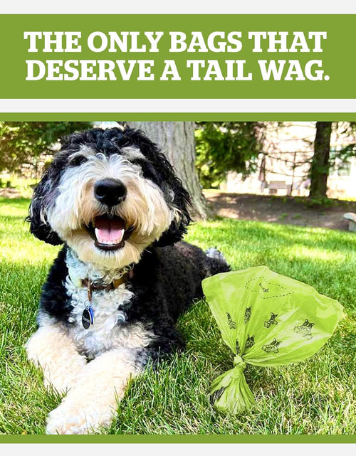 Load image into Gallery viewer, Pogi’S Poop Bags - 30 Unscented Rolls (450 Dog Poop Bags) - Leak-Proof, Earth-Friendly Poop Bags for Dogs
