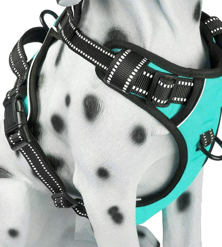 No Pull Dog Harness, Reflective Comfortable Vest Harness with Front & Back 2 Leash Attachments and Easy Control Handle Adjustable Soft Padded Pet Vest for Small Medium Large Dogs (Mint Blue,M)