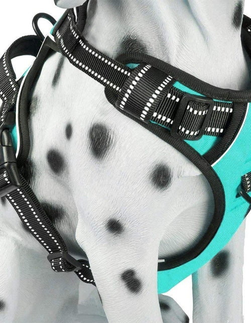 Load image into Gallery viewer, No Pull Dog Harness, Reflective Comfortable Vest Harness with Front &amp; Back 2 Leash Attachments and Easy Control Handle Adjustable Soft Padded Pet Vest for Small Medium Large Dogs (Mint Blue,M)
