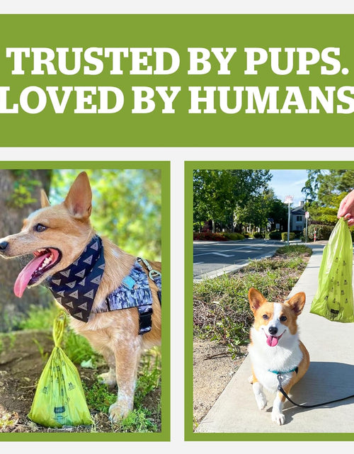 Load image into Gallery viewer, Pogi’S Poop Bags - 30 Unscented Rolls (450 Dog Poop Bags) - Leak-Proof, Earth-Friendly Poop Bags for Dogs
