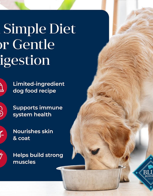 Load image into Gallery viewer, Basics Grain-Free Dry Dog Food for Adult Dogs, Limited Ingredient Diet, Salmon Recipe, 22-Lb. Bag
