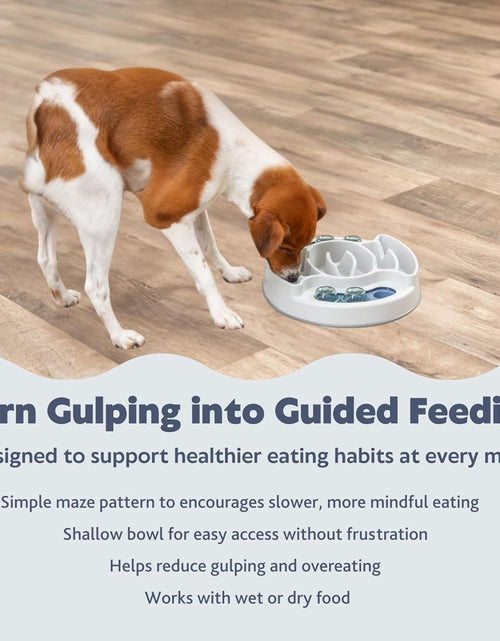 Load image into Gallery viewer, Dog Activity | Pet Strategy Games | Interactive Dog Puzzles | Great for Mental Stimulation
