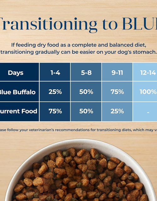 Load image into Gallery viewer, Basics Grain-Free Dry Dog Food for Adult Dogs, Limited Ingredient Diet, Salmon Recipe, 22-Lb. Bag
